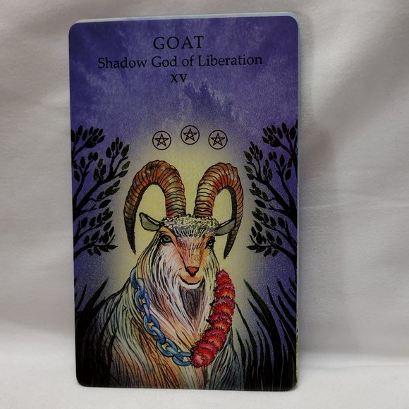 The Animal Wisdom Tarot - Picture 11 of 16